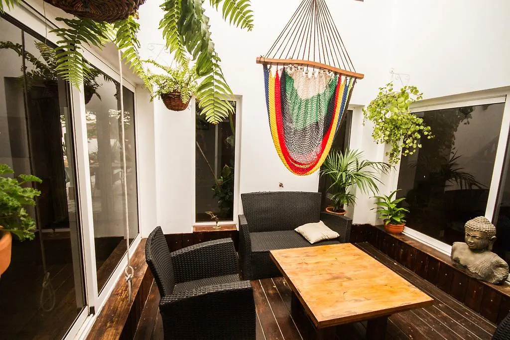 Surfhouse Hotel Corralejo Affittacamere